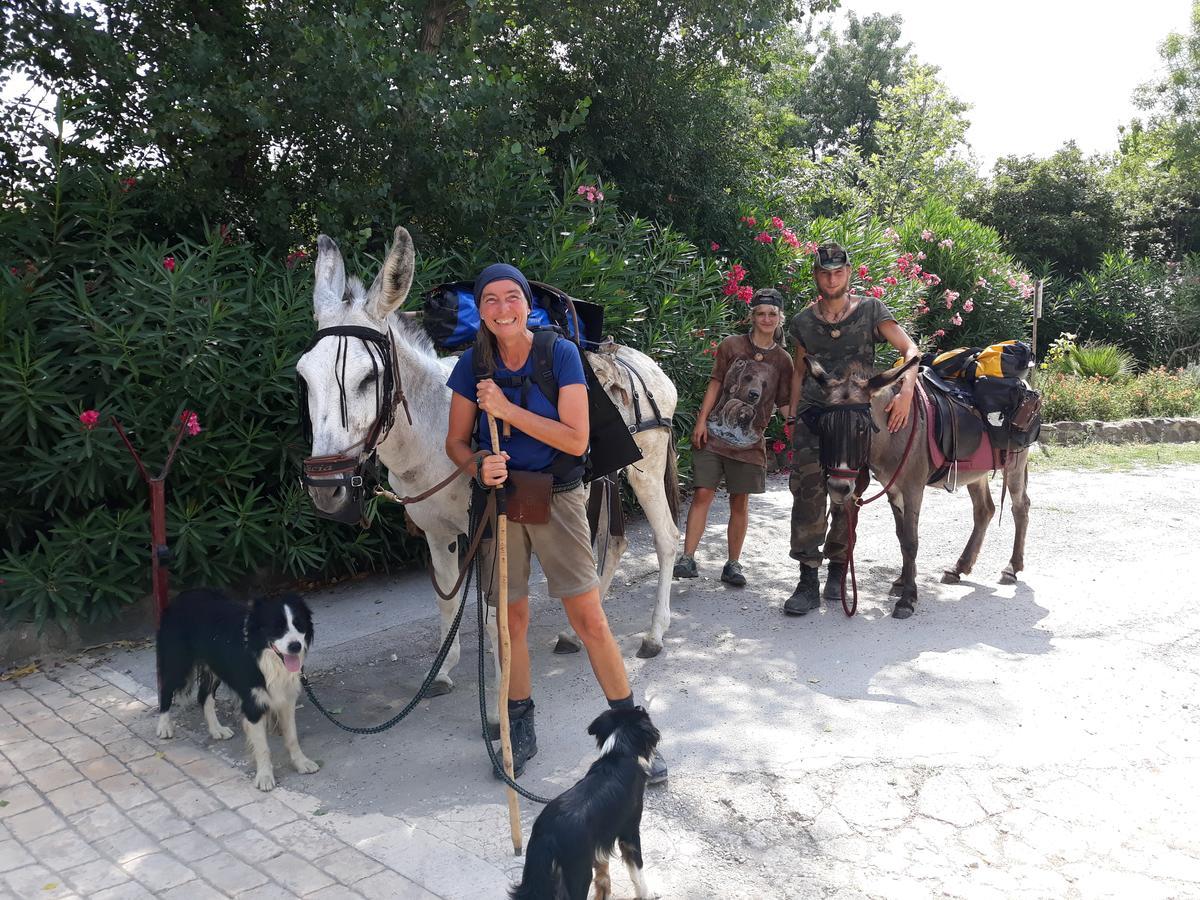 Camping Le Pre Saint-Andre Souvignargues Luaran gambar